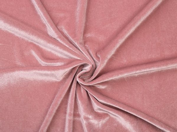 Catifea elastica 380478