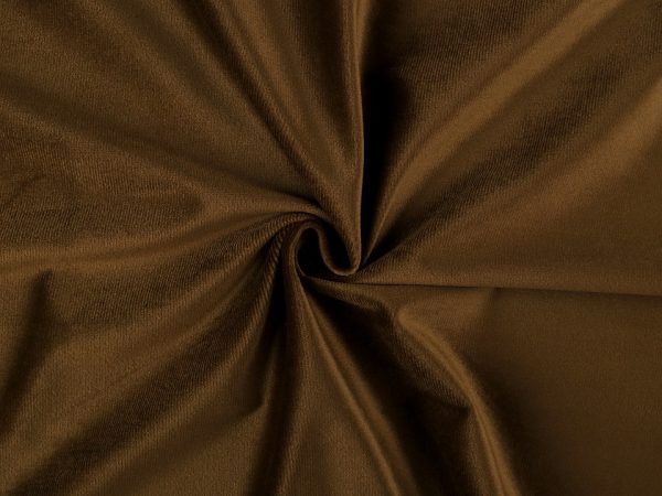 Catifea elastica 380570